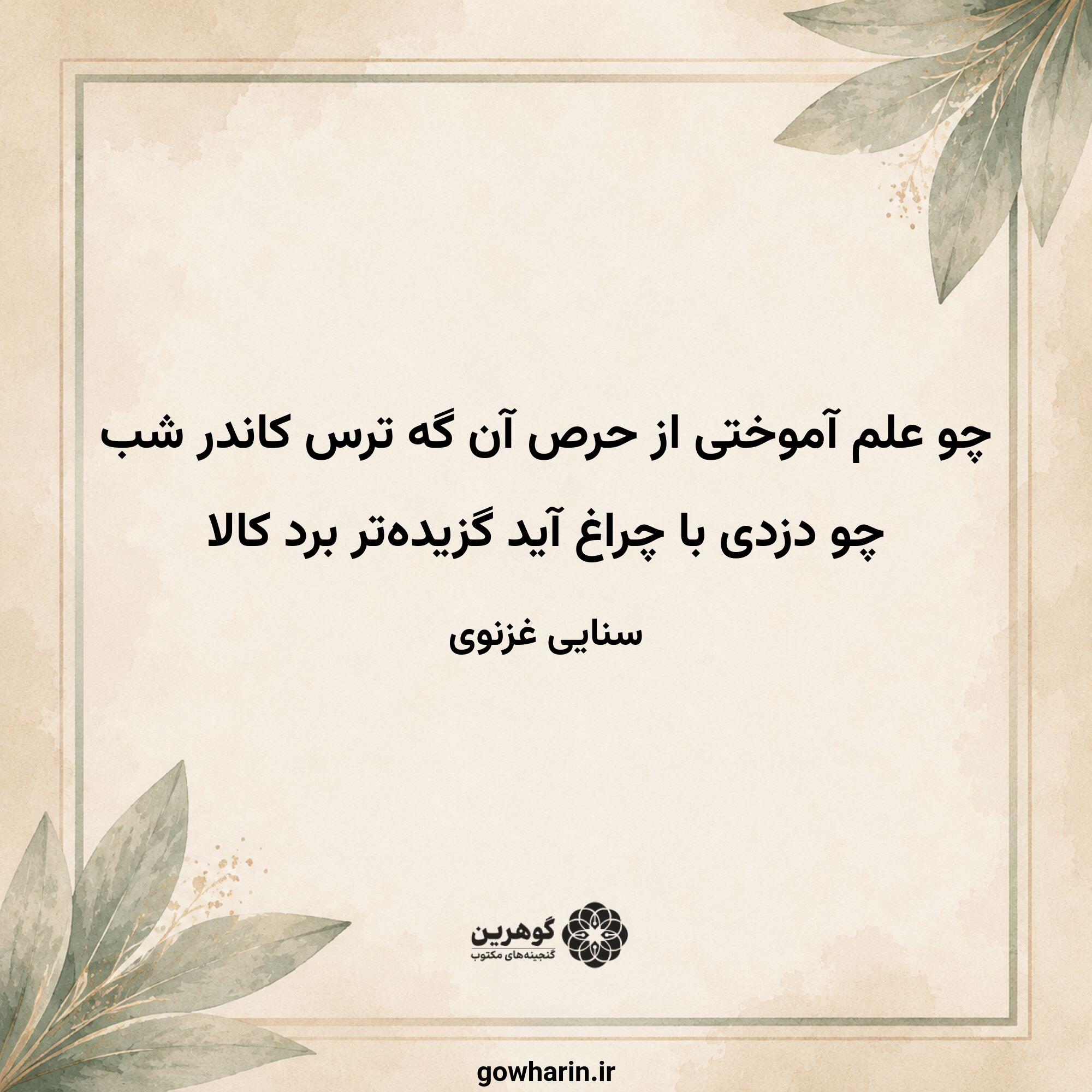 چو علم آموختی از حرص آن گه ترس کاندر شب
چو دزدی با چراغ آید گزیده‌تر برد کالا