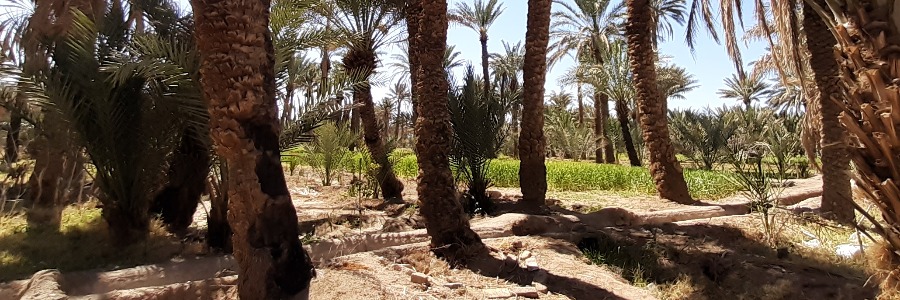 تصویر مجموعه